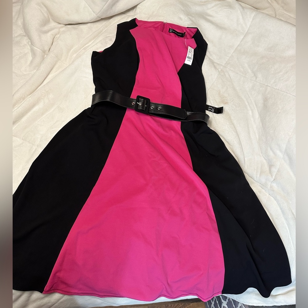 New York & Company Pink & Black Belted Dress